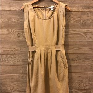 Ann Taylor Loft Dress